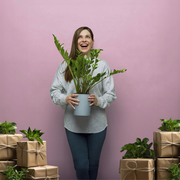 L' Abonnement Box Plantes - Trimestrielle