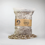 Mélange Lithops et Succulentes 5 litres