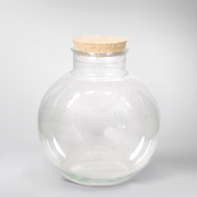 Bocal en Verre pour Terrarium 30cm en Forme de Bol