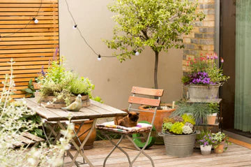 Comment faire ton petit jardin en 4 courtes étapes !