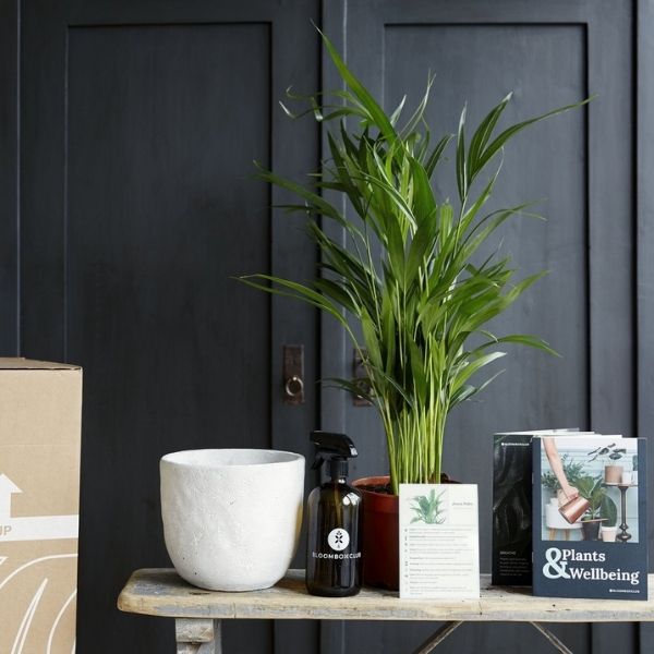 Carte cadeau d'abonnement aux plantes